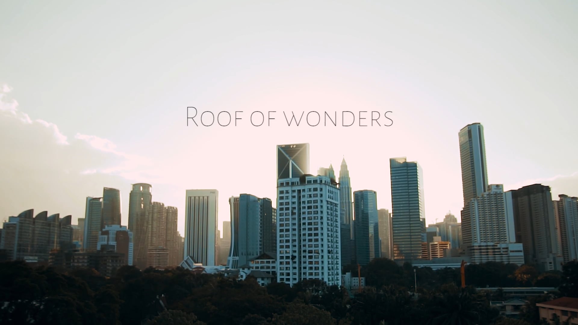 Roof Wonder