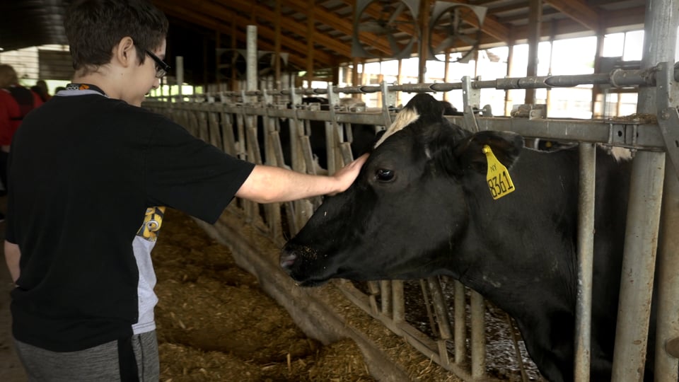 ADANE // Dairy Farm School Tour // Highlight Video // Wagner Farms Poestenkill NY