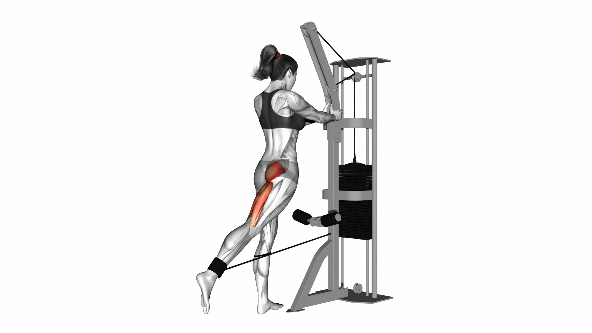 08801201-Cable-standing-hip-extension-(version-2) Hips on Vimeo