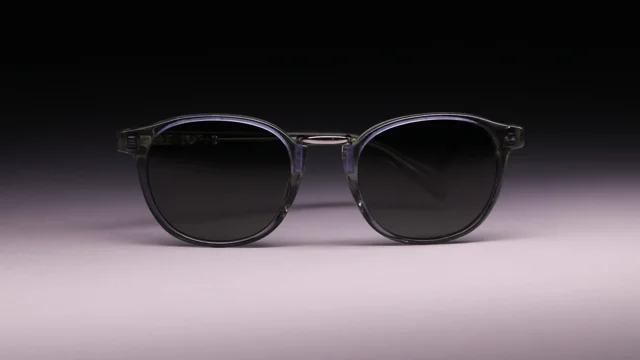 1007 smoky quartz sales sunglasses