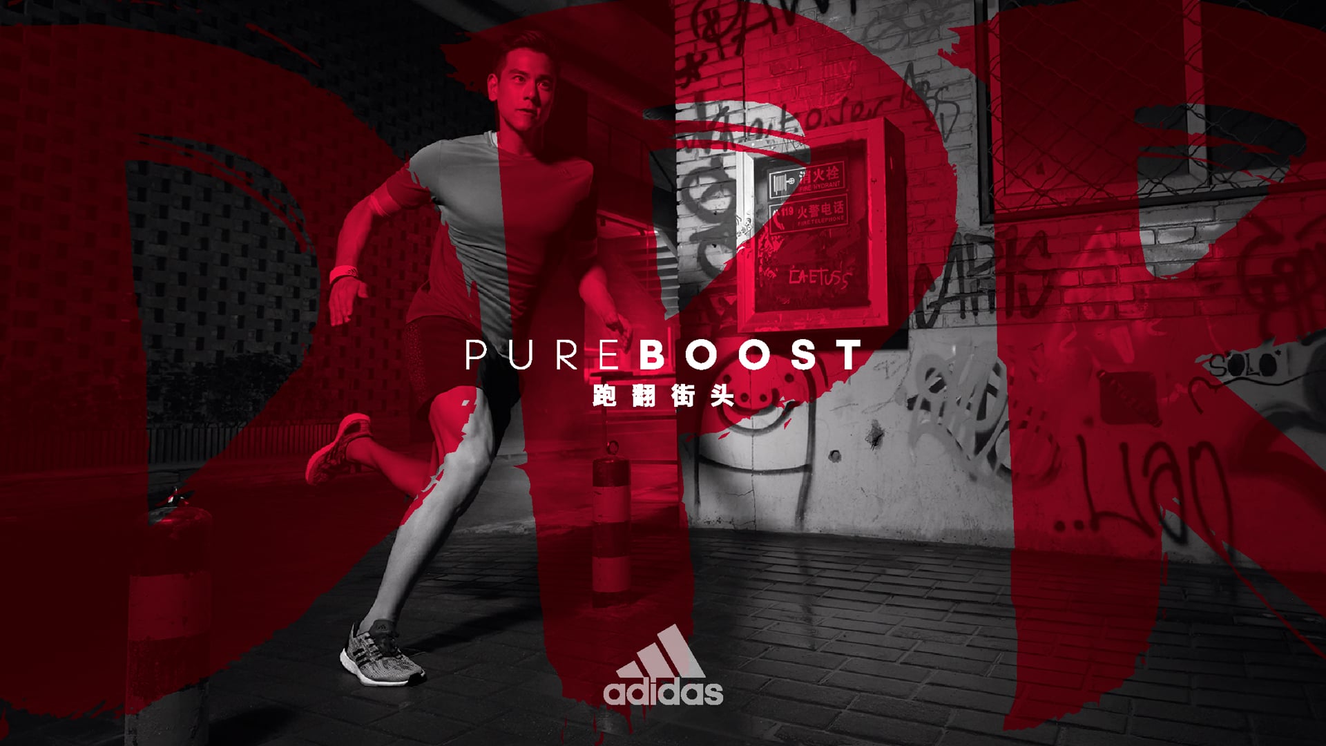 Pureboost DPR