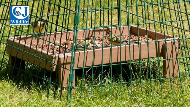 CJ Wildlife Ground Guards