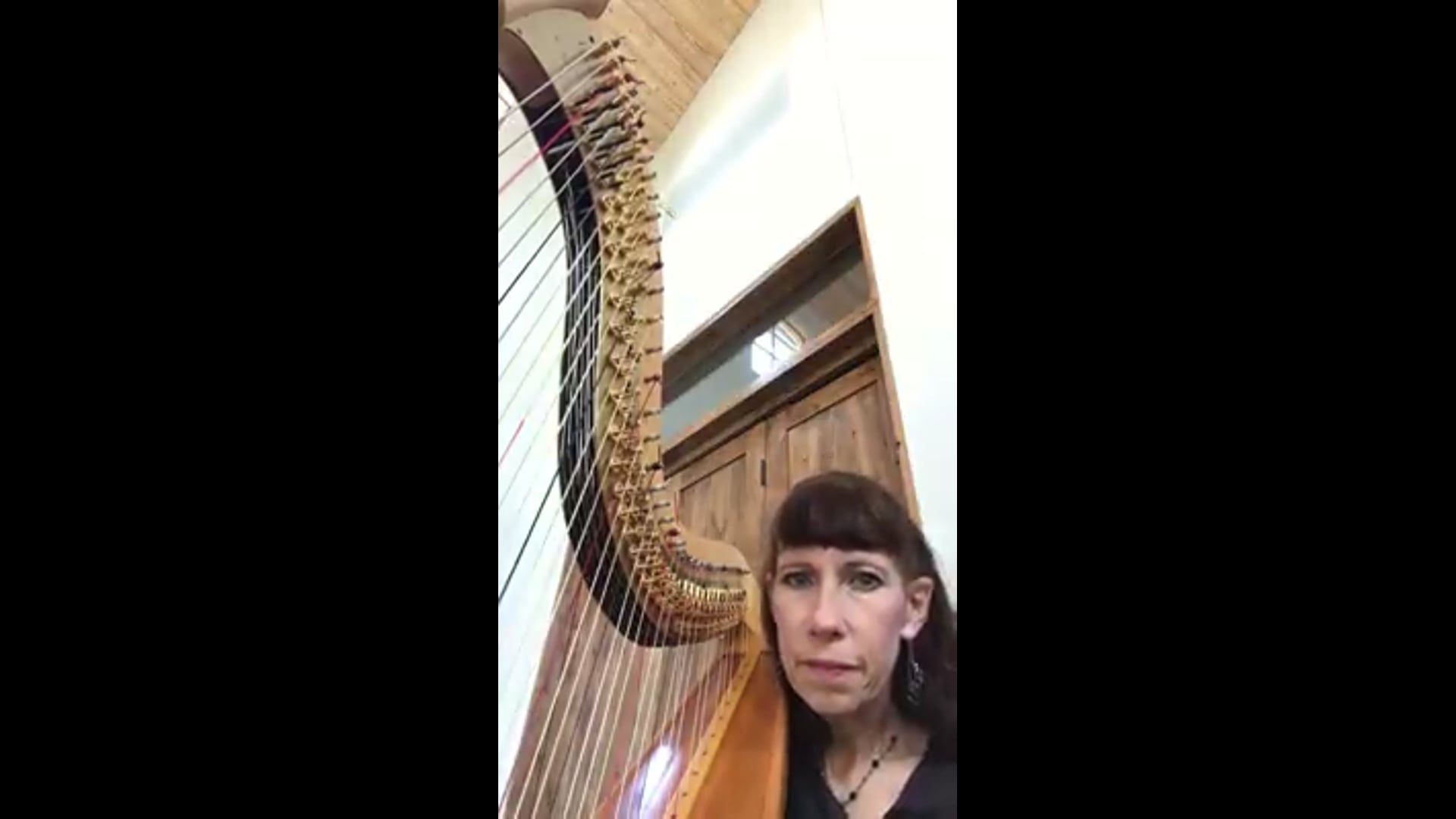 Promotional video thumbnail 1 for Dian Repp-Harpist
