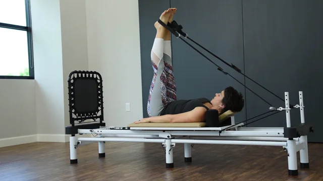 Plank Bar Video, Join Shauna in a fun, in-depth instructional video  exploring all the possible handle positions and exercises with your Plank  Bars., By AeroPilates