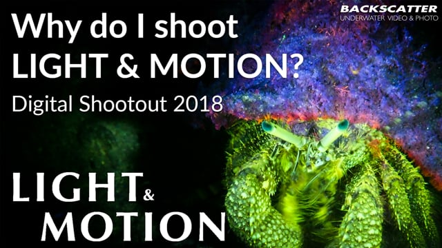 Why do I shoot Light & Motion? - Digital Shootout 2018