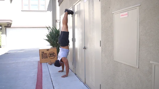 Wall supported handstand pushups - The Body Dojo