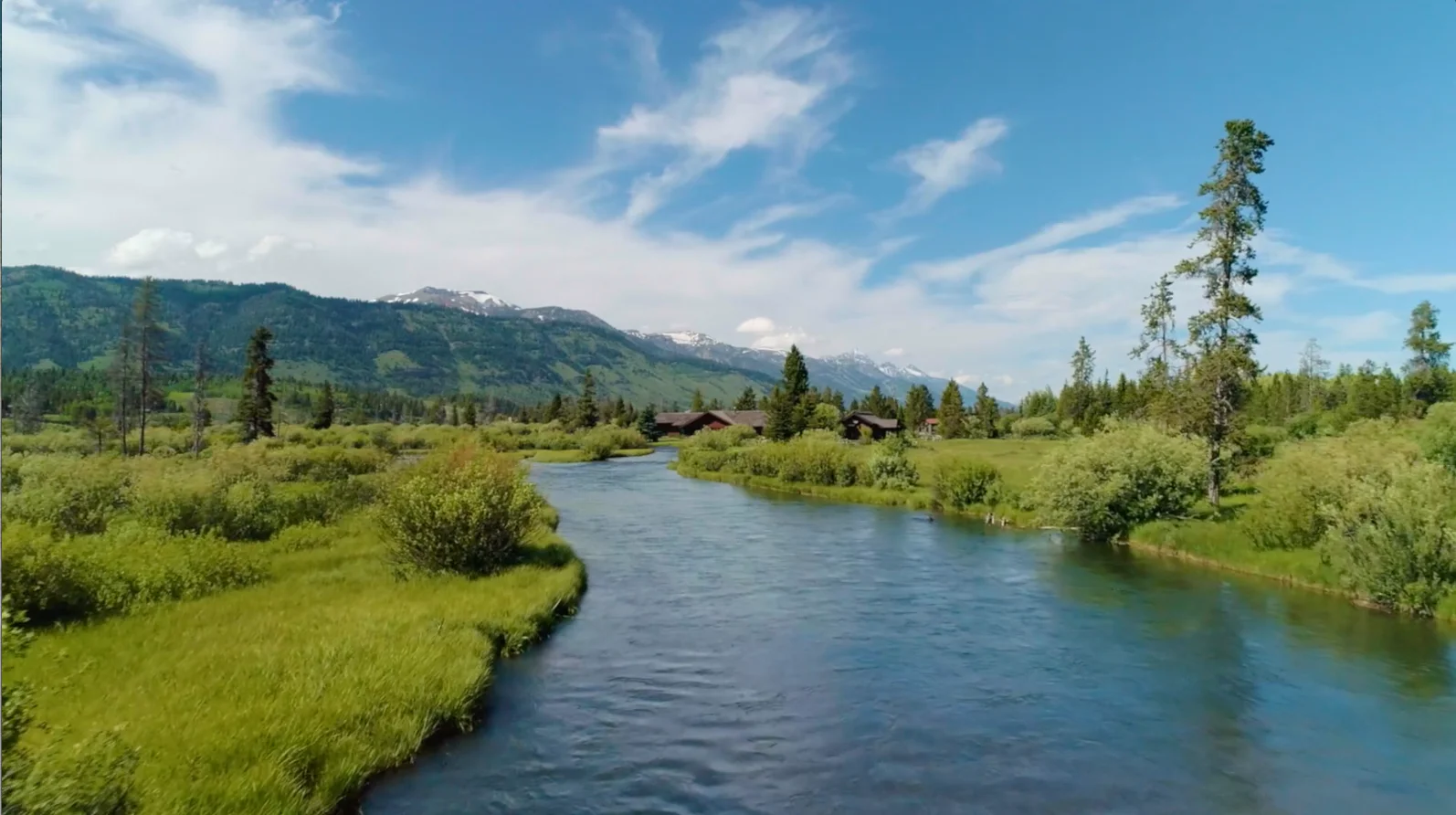 Lazy Dog Restaurants, LLC