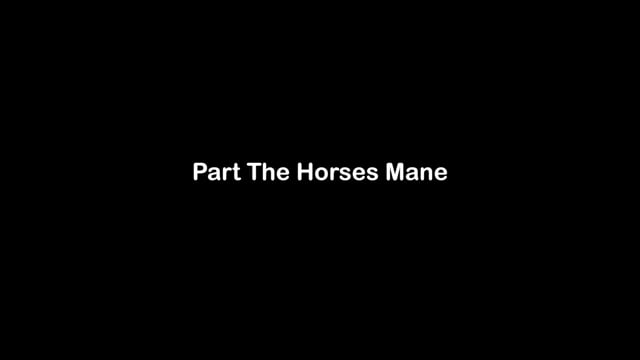 Part The Horses Mane
