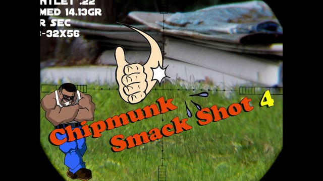 Chipmunk Smack Shot #4
