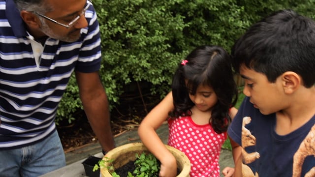 Childxxx School development & development concerns | Raising Children Network