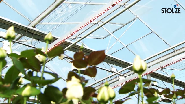 Belichtingsproces Stolze installatietechniek
