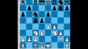 The HIPPO System: A Universal Chess Opening for White & Black by