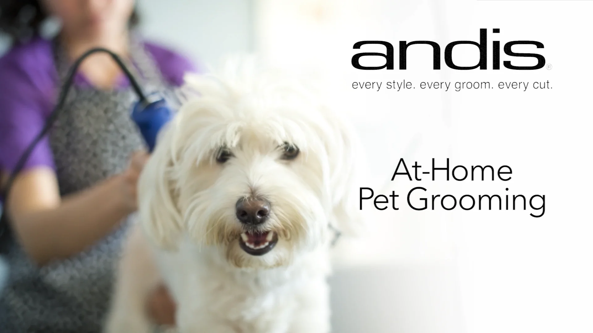 Andis pet outlet trim