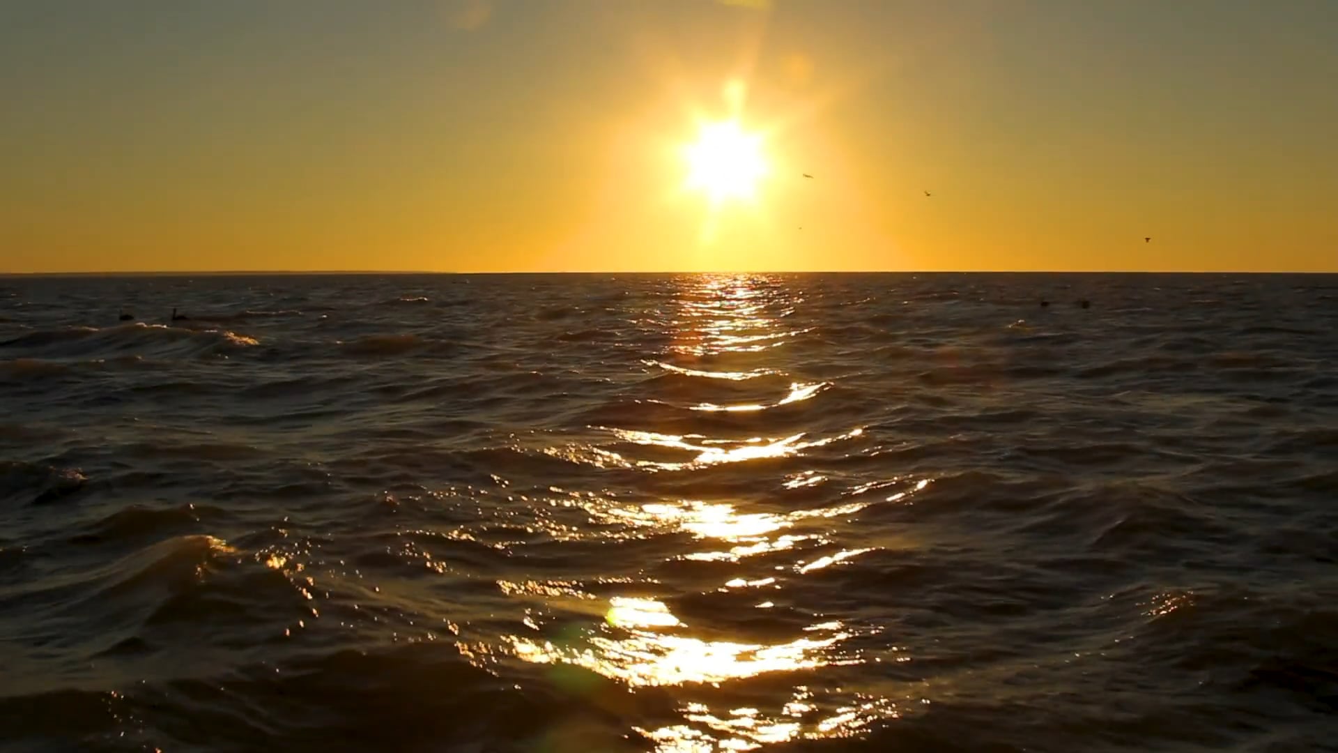 Fishing at the Edge of Extinction: Santa Clara 2013