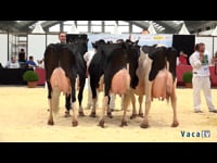 Mejor rebaño regional