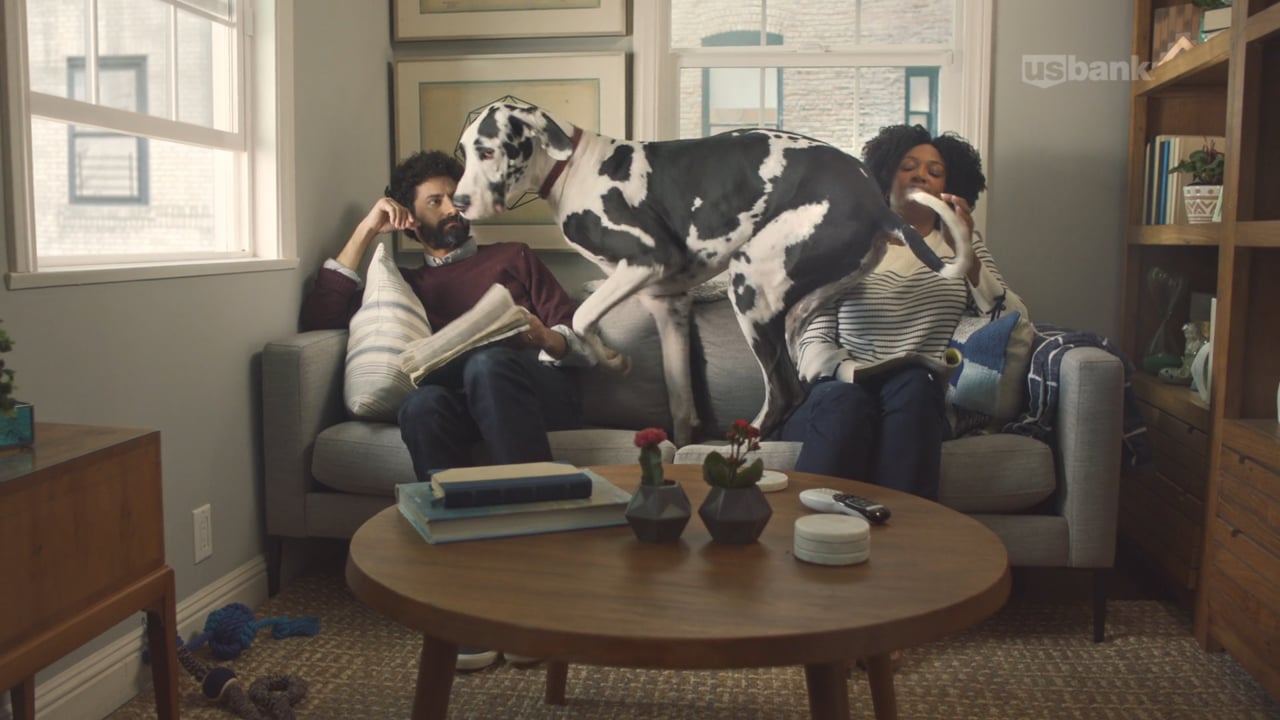 US Bank - Great Dane