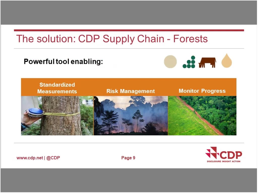 Introduction to the CDP Forests Questionnaire on Vimeo