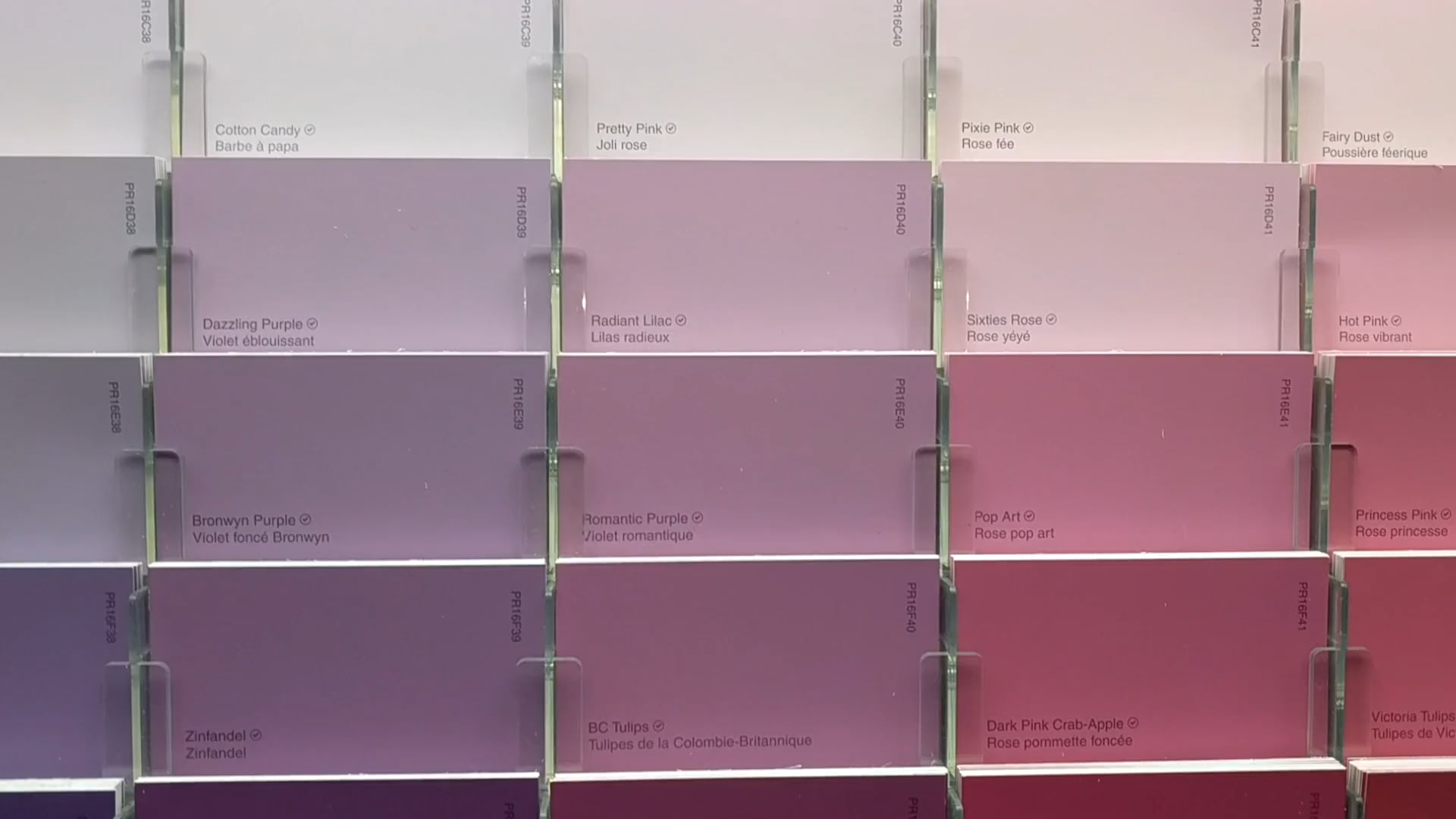 Canada Tire - Premier Paint Case Study