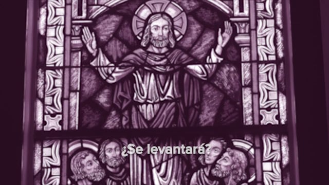 video image