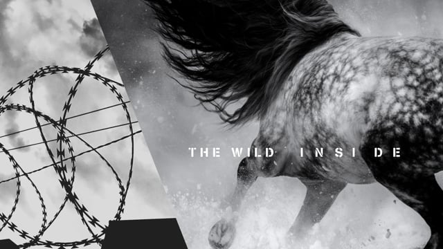 The Wild Inside - TRAILER
