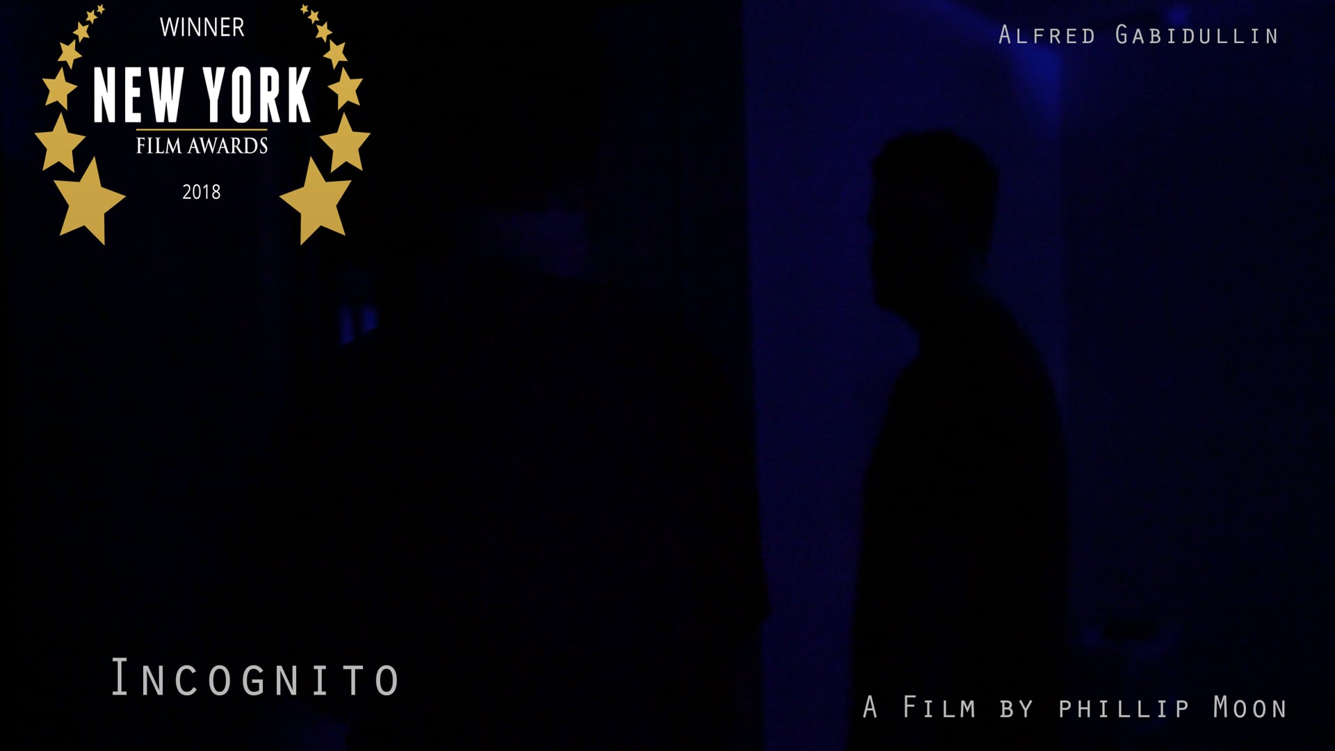 Incognito - A short thriller