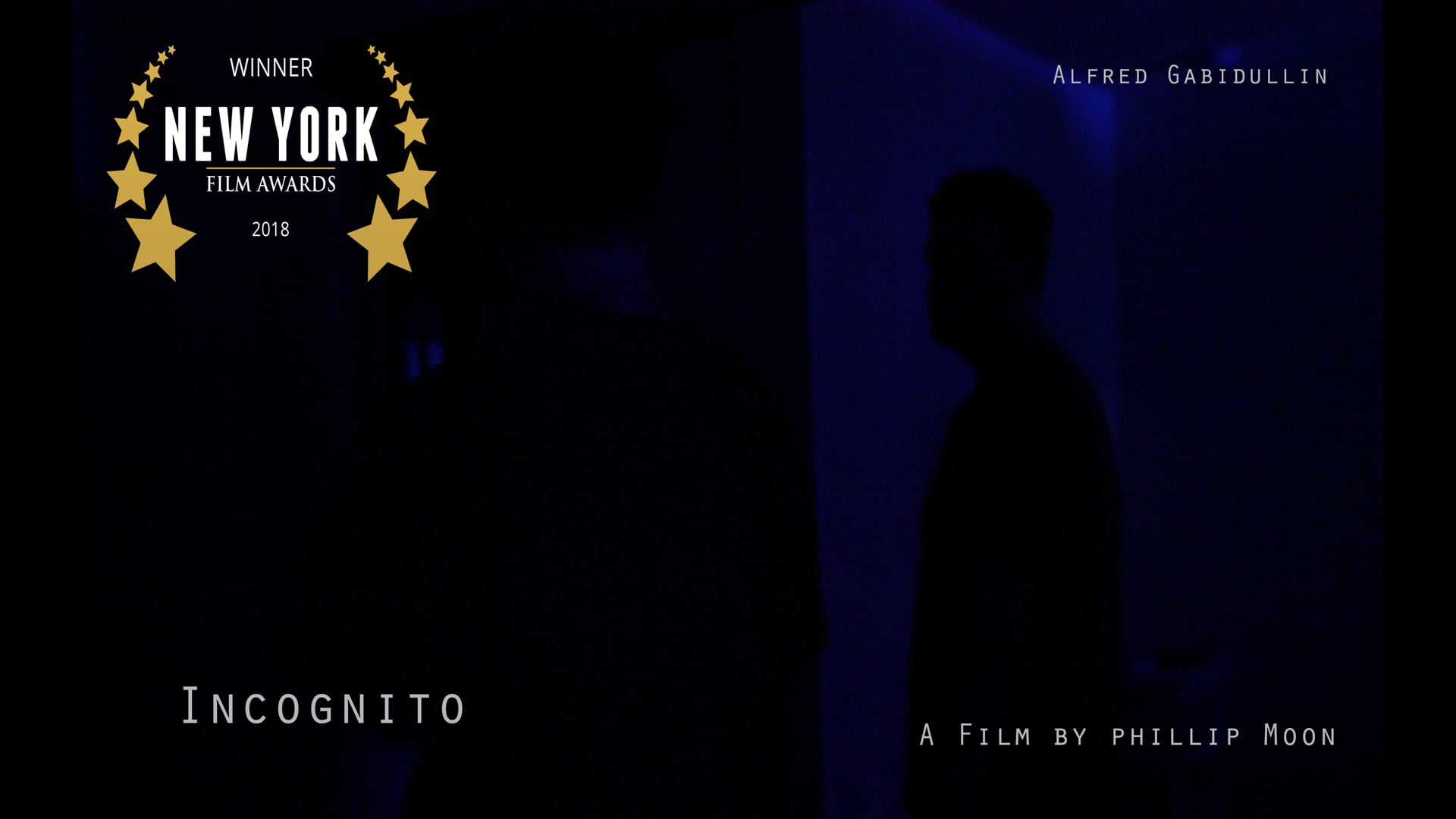 Incognito - A short thriller