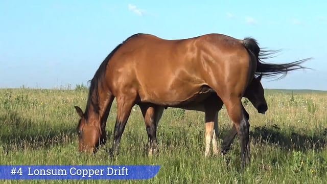 Lot #4 - Lonsum Copper Drift
