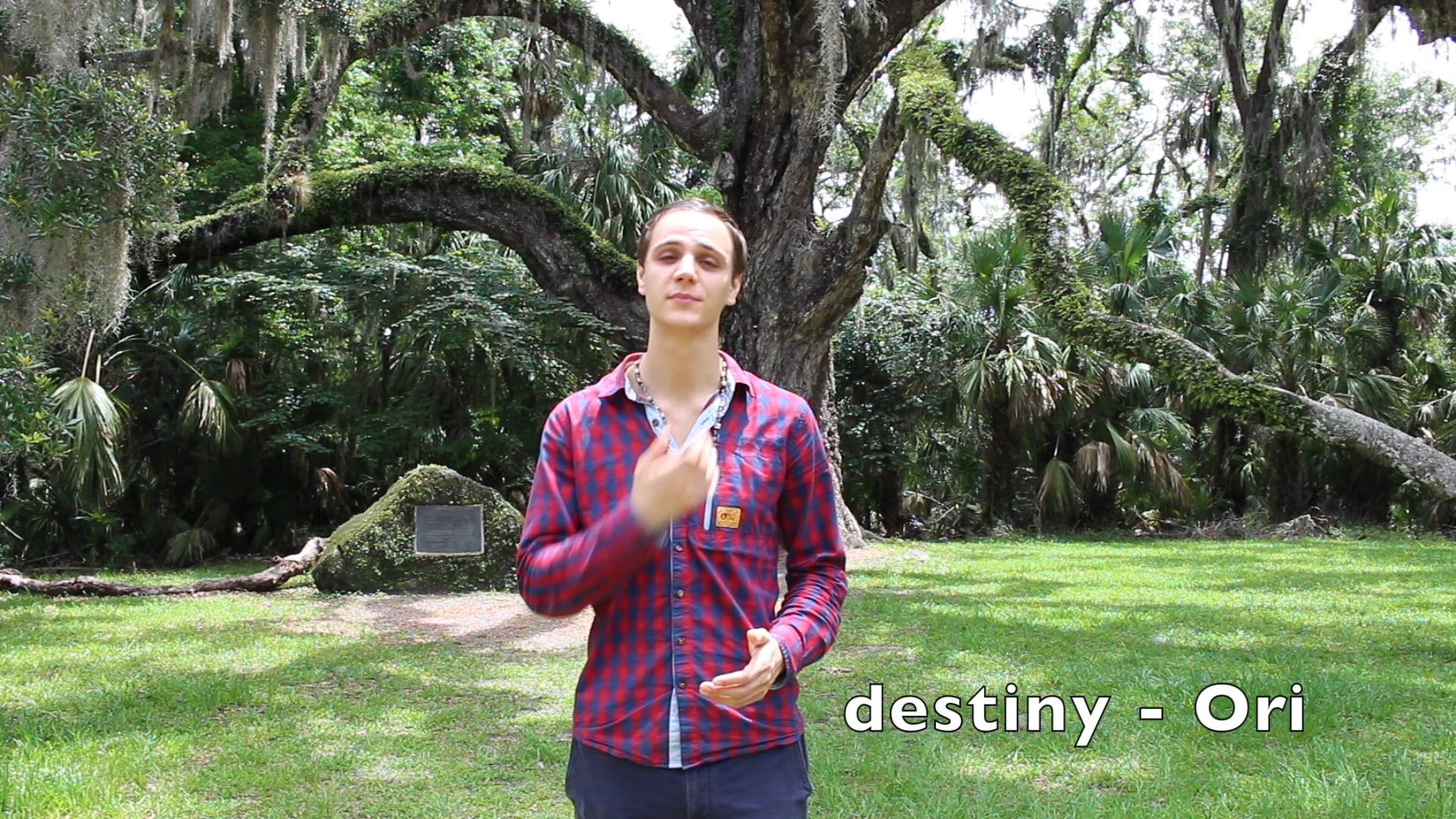 Inside View of a Transformational Experience