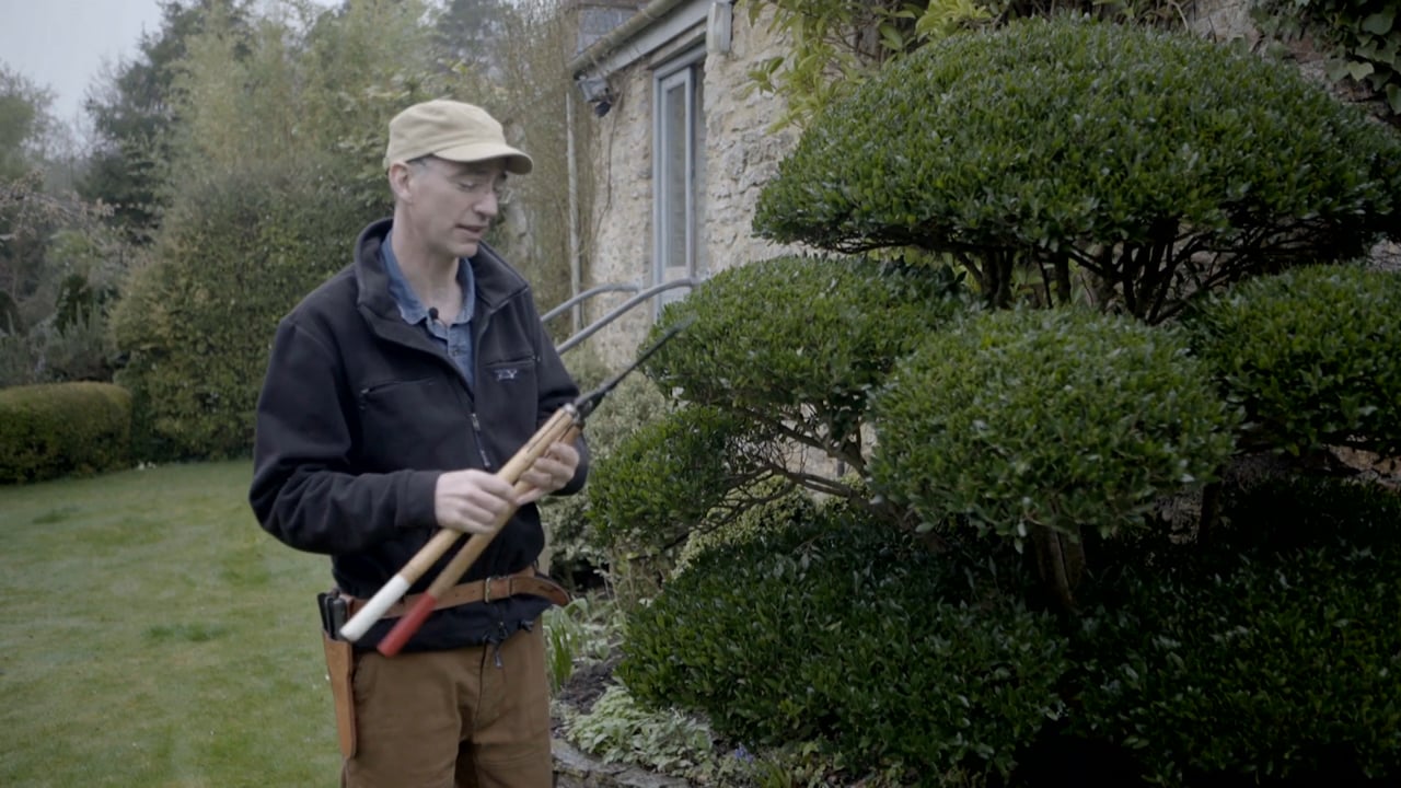 Niwaki Topiary Shears