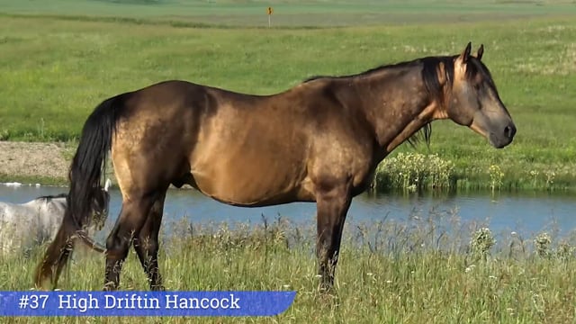 Lot #37 - High Driftin Hancock