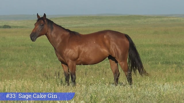 Lot #33 - Sage Cake Gin