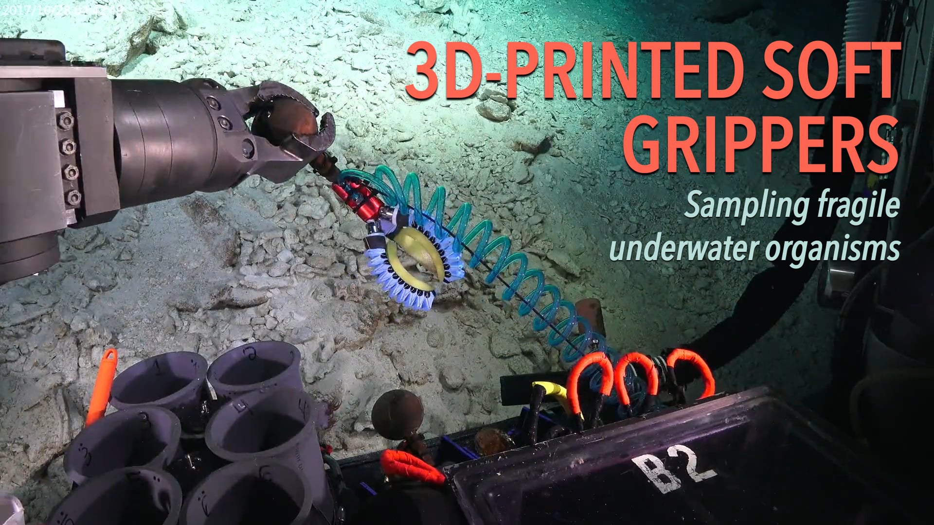 3D-Printed Soft Grippers: Sampling fragile underwater organisms