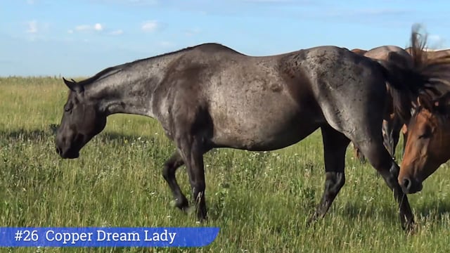 Lot #26 - Copper Dream Lady
