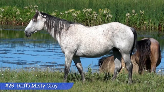 Lot #25 - Drifts Misty Gray
