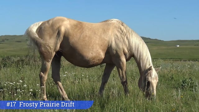 Lot #17 - Frosty Prairie Drift