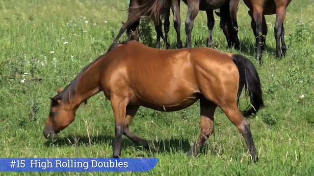 Lot #15 - High Rolling Doubles