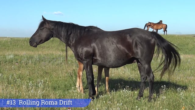 Lot #13 - Rolling Roma Drift