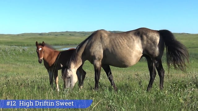 Lot #12 - High Driftin Sweet