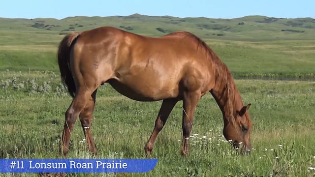 Lot #11 - Lonsum Roan Prairie