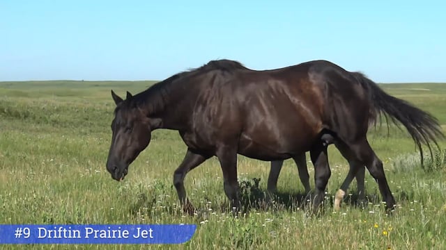 Lot #9 - Driftin Prairie Jet