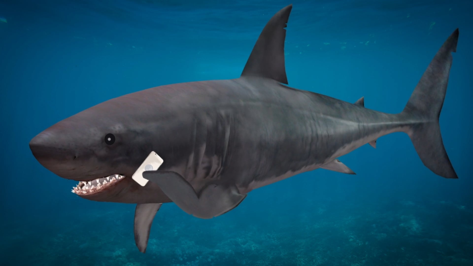 Shark Week: Great White Gets the Part