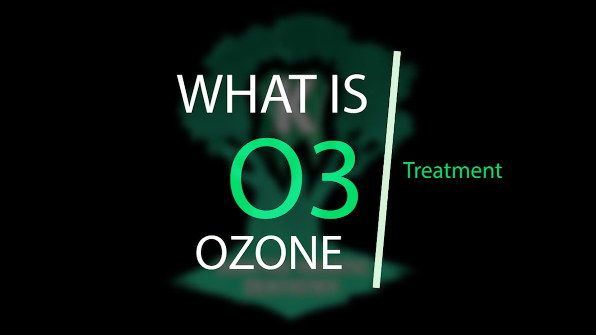 O3 _Treatment