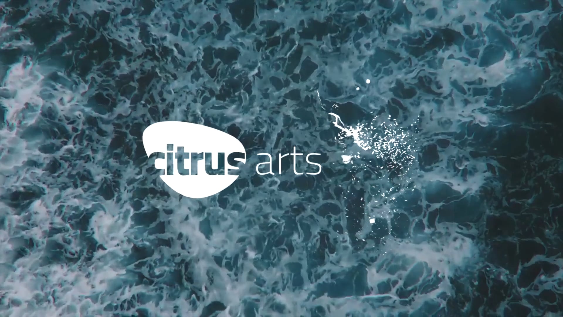 "Shipwrecks - Receivers of The Wreck" by Citrus Arts (short promo)