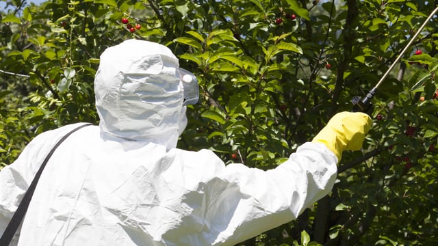 Module 2: Choosing and Providing Appropriate PPE - Video Thumbnail