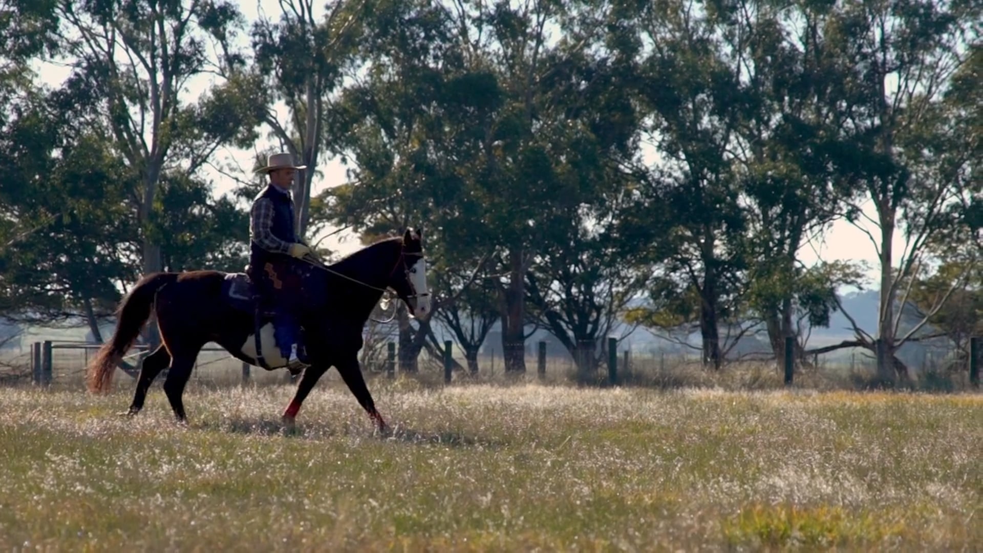 Whispering Acres - Online Tutorial Trailer