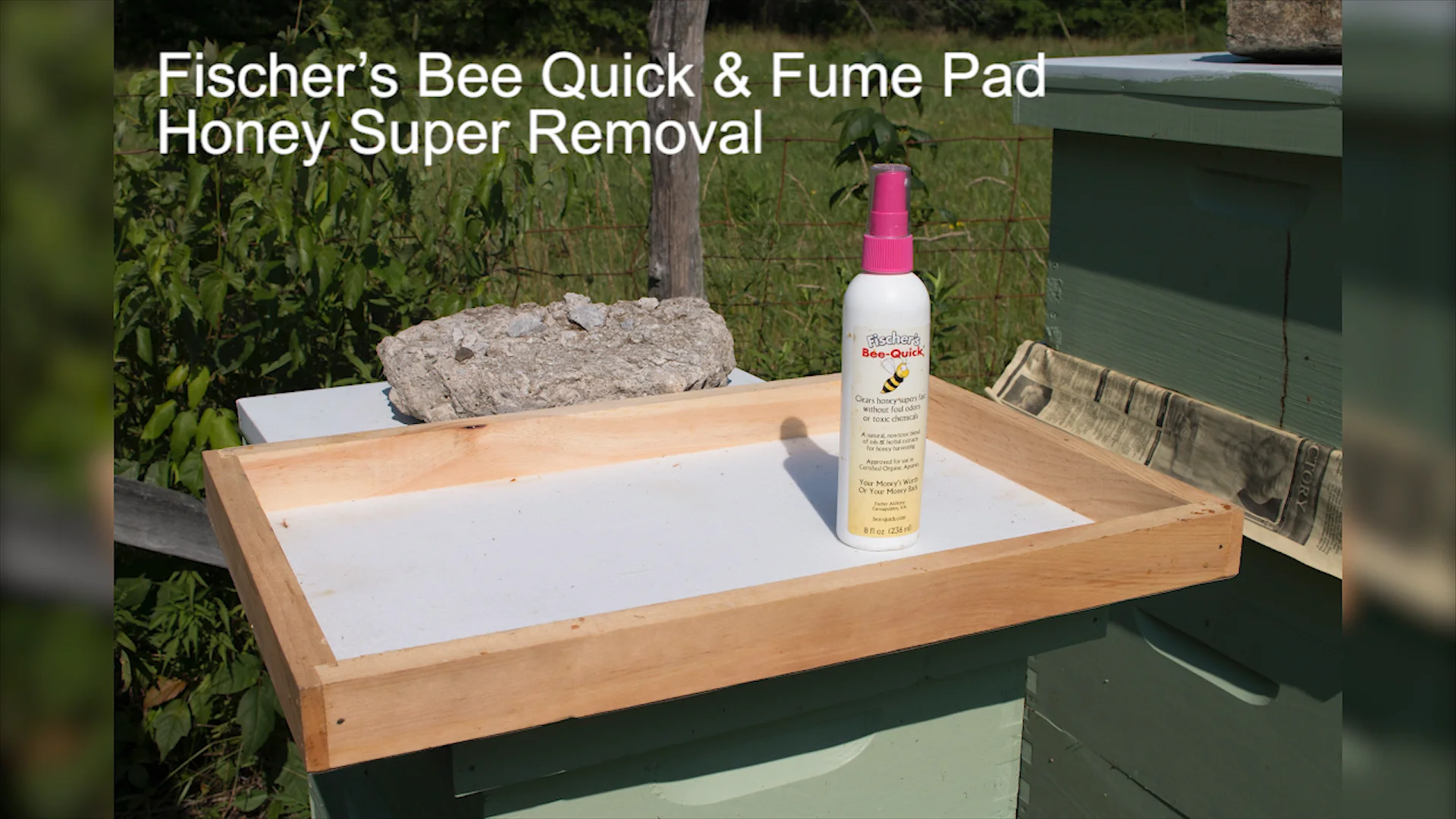 Fischer's Bee Quick (8 oz.) [FBQ] | Blue Sky Bee Supply