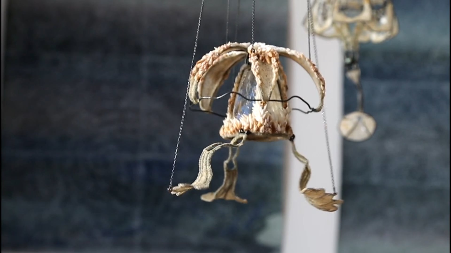 The Artificial Kingdom, Flor de Medusa - Koen Jacobs 2018