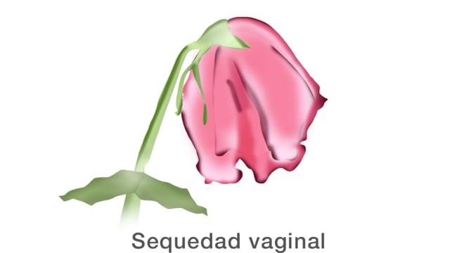 Sequedad vaginal