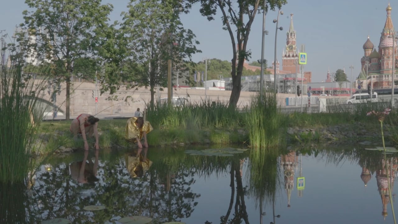 qr_code#4. прибрежный лес