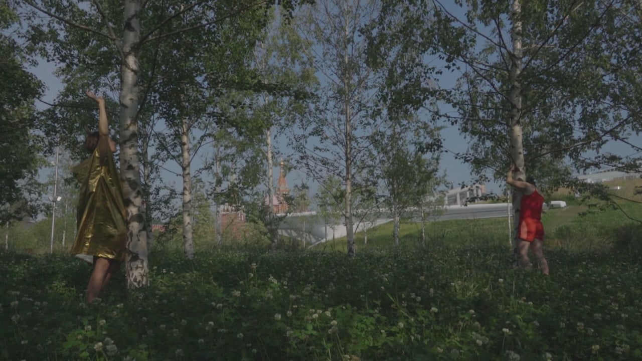 qr_code#3. смешанный лес